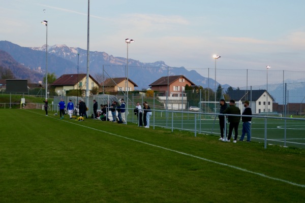 Stade Praz-Dagoud - Saint-Légier