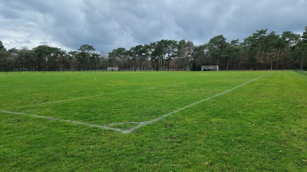 Jeugdcomplex ´t Gestelbos Terrein 9 - Lommel