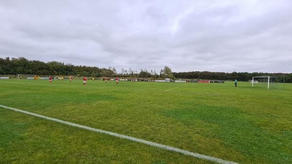 STS Biler Arena - Holstebro