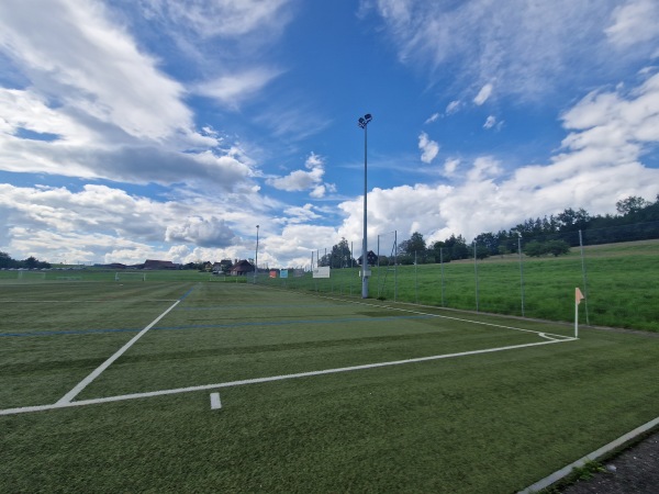 Sportplatz Beichlen Platz 2 - Wädenswil