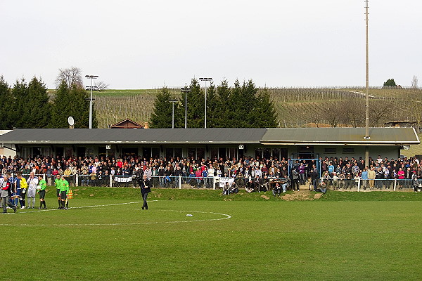 Stade Municipal de Steinseltz - Steinseltz