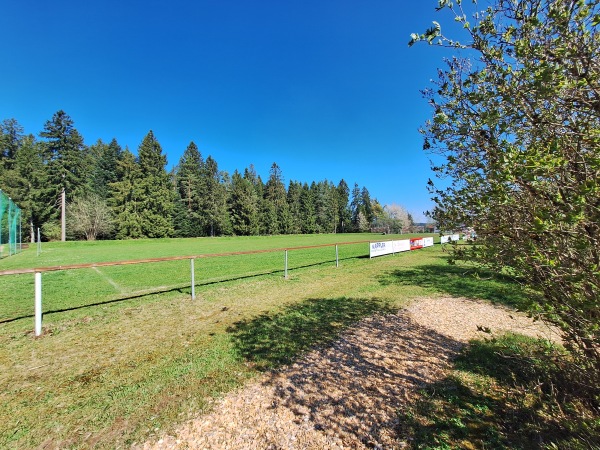Sportplatz Besenfeld - Seewald-Besenfeld