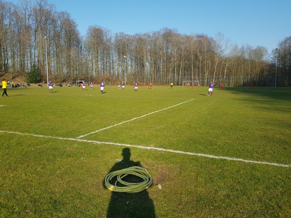 Sportplatz an der Schule - Oelixdorf