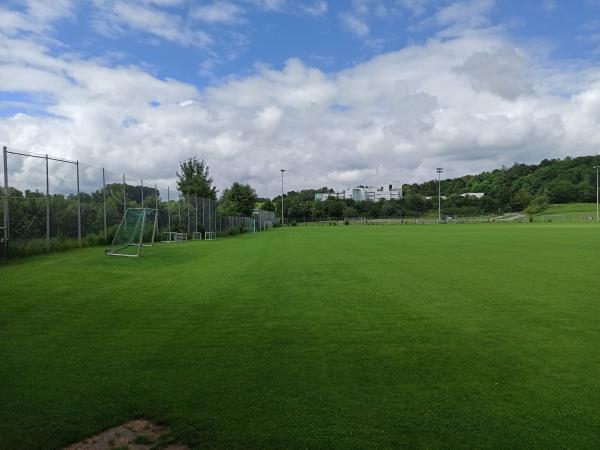 Rieser Sportpark Platz 4 - Nördlingen