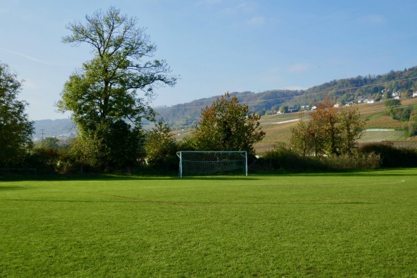 Terrain En Chanivet terrain annexe - Perroy