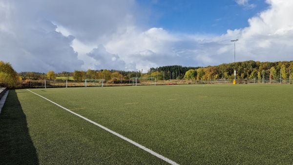 Svenska Stenhus Arena Konstgräs - Alafors
