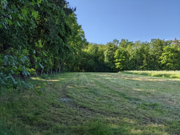 Sportplatz am Eisenberger Wald - Wattenheim/Pfalz