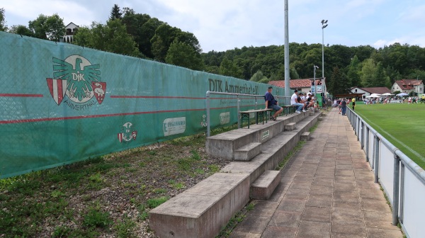 Sportgelände Pürschläger Weg - Ammerthal