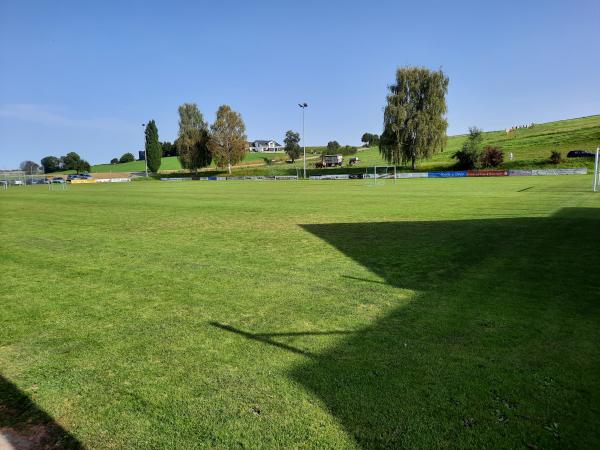 Sportanlage Röhrwanger Straße Platz 2 - Schemmerhofen-Alberweiler