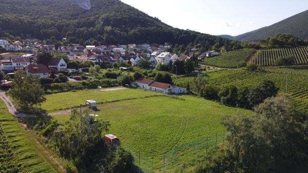 Sportplatz Am Schloßberg - Burrweiler