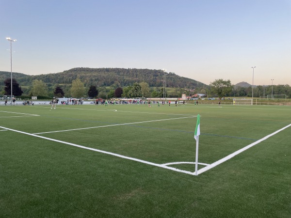 Sportanlage Rheintalstraße Platz 2 - Küssaberg-Rheinheim