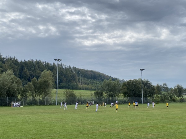 Stade Communal de Courtepin terrain 2 - Courtepin