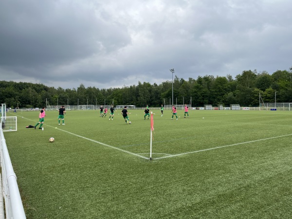 Stade Saint Etienne terrain annexe - Seltz