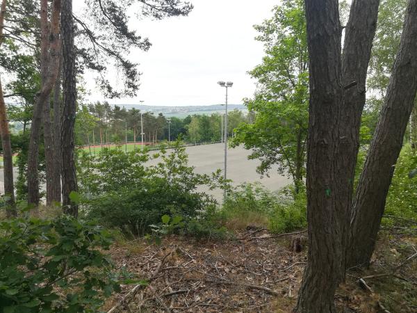 Waldstadion Nebenplatz 1 - Eisenberg/Pfalz