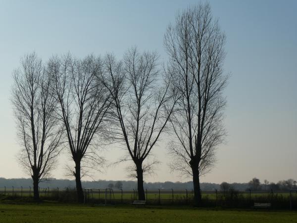 Sportplatz Bundesallee - Braunschweig-Watenbüttel