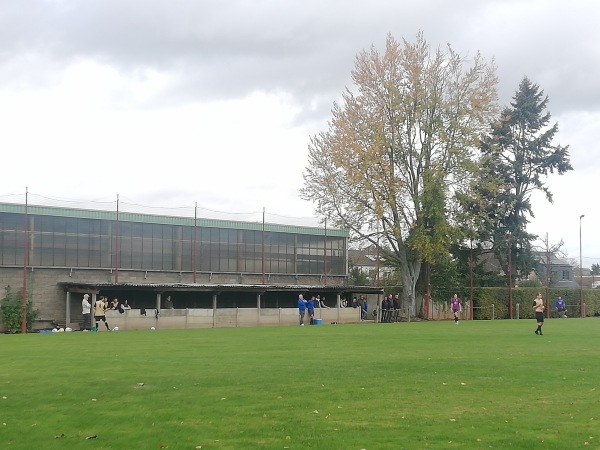 Terrein Hulgenrodestraat - Borsbeek
