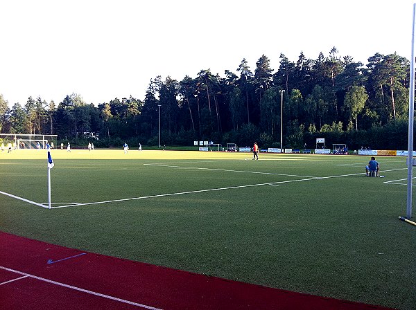 Fritz-Bortz-Sportplatz - Aumühle