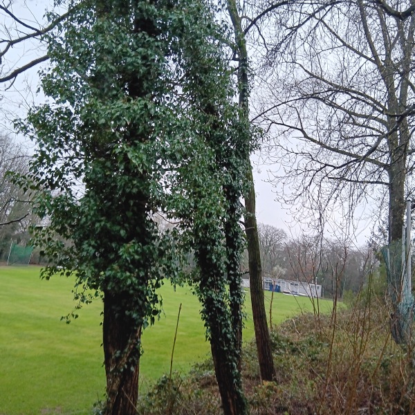 Sportplatz Kemperdick - Erkrath-Hochdahl