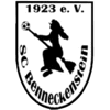 Wappen SC 1923 Benneckenstein diverse