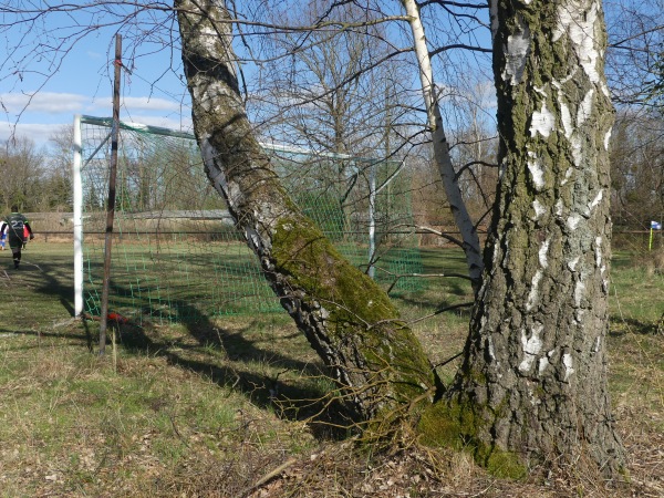 Sportanlage Hörlitz Platz 2 - Schipkau-Hörlitz