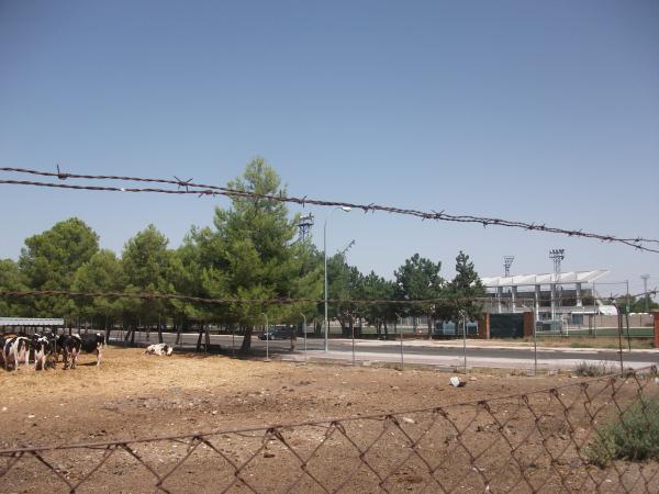 Estadio Santiago del Pino - San Fernando de Henares, MD