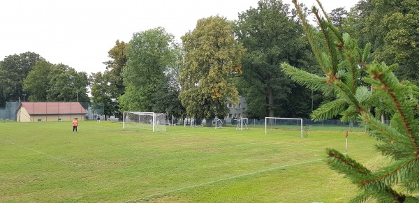 Boisko w Pisarzowicach - Pisarzowice