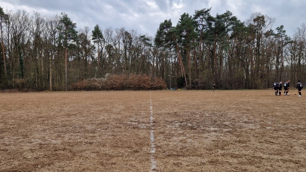Waldsportanlage Platz 2 - Sennfeld