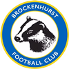 Wappen Brockenhurst FC  84239