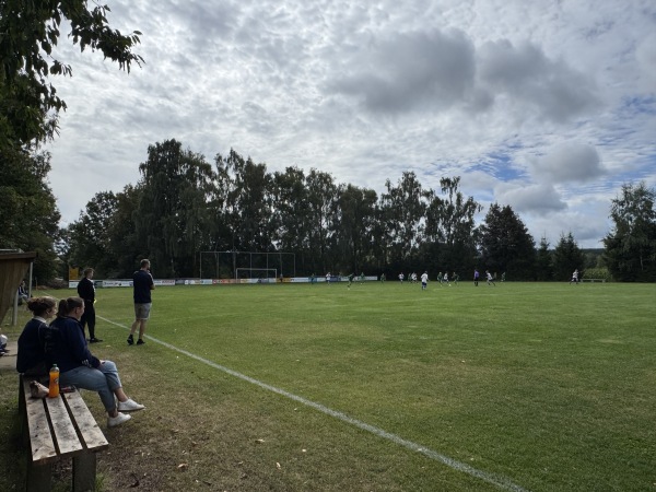 Birkenstadion - Erbendorf-Wildenreuth