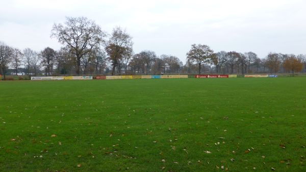 SwanCity-Arena - Kiebitzreihe