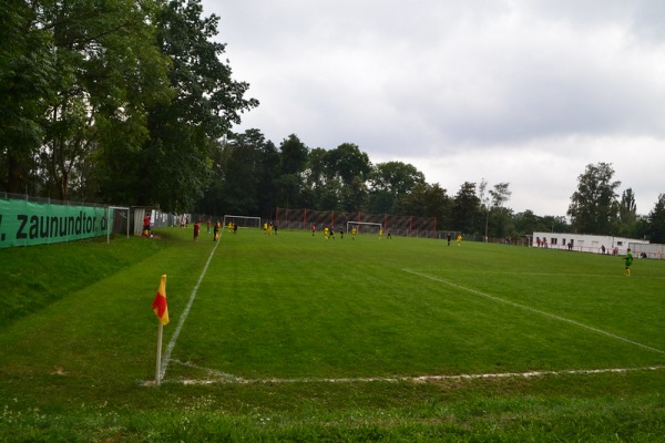 Sportplatz Muldenpromenade - Zwickau