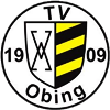 Wappen TV 1909 Obing  44065