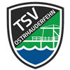Wappen TSV Ostrhauderfehn 2020  21528