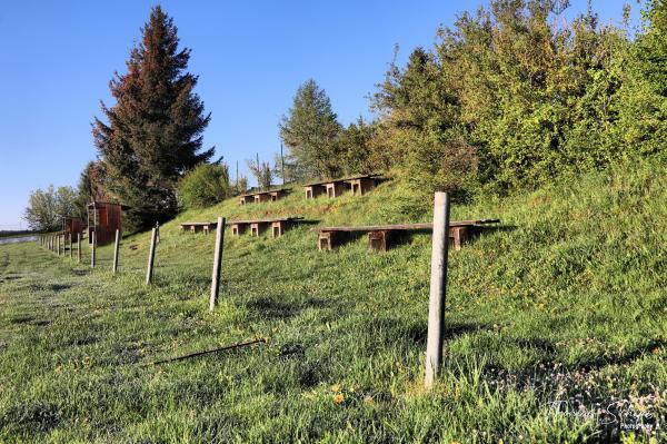 Sportplatz Blumersberg - Meßstetten