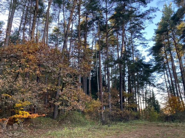 Sportplatz Rote Erde - Winkelhaid