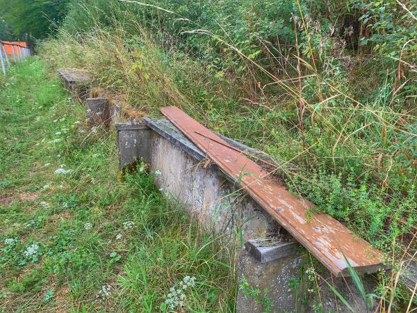 Waldstadion - Krayenberggemeinde-Merkers