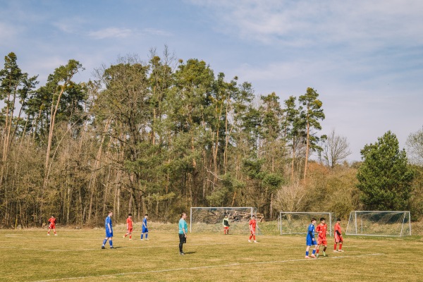 Waldsportanlage Platz 2 - Ammerndorf