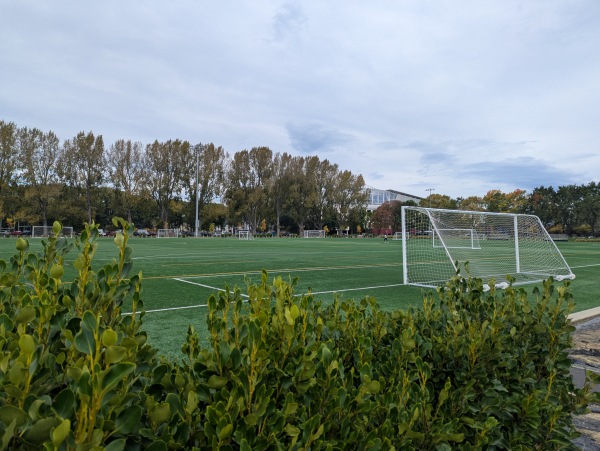 Logan Park Field A2 - Dunedin