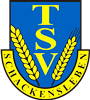 Wappen TSV Schackensleben 1926 diverse  70273