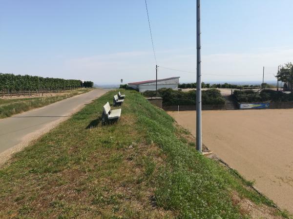 Sportplatz auf dem Eisenkopf - Neuleiningen