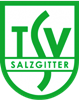 Wappen TSV Salzgitter 1977  11577