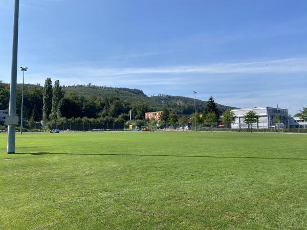 Sportanlagen Kleinholz Platz 4 - Olten