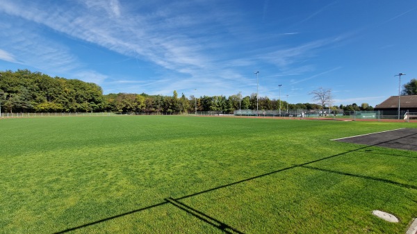 Centre Sportif de la Bécassière terrain D - Versoix