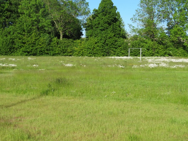 gbg Sportzentrum Drispenstedt B-Platz - Hildesheim-Drispenstedt