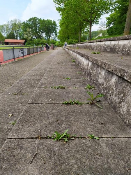 Obermattenstadion - Gundelfingen/Breisgau-Wildtal