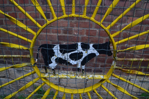 Sportplatz an der Wipper - Aschersleben-Drohndorf