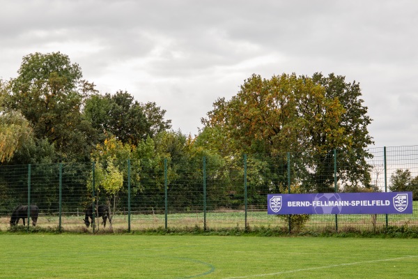 Bernd-Fellmann-Spielfeld - Leipzig-Althen-Kleinpösna