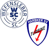 Wappen SG Wefensleben/Harbke II (Ground B)