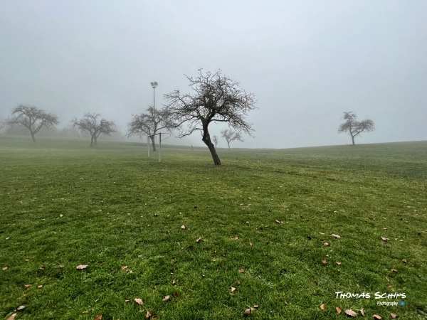 Alter Sportplatz Am Bord - Radolfzell/Bodensee-Liggeringen
