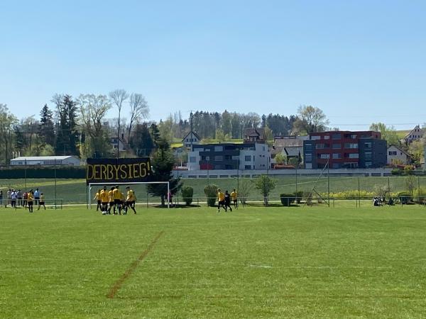 Sportanlage Chliriet Platz A - Oberglatt